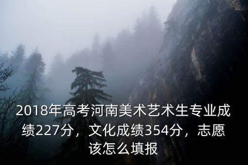 2018年高考河南美術藝術生專業成績227分，文化成績354分，志愿該怎么填報