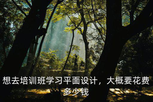 合肥學平面設計大概多少錢學費,大概要花費多少錢