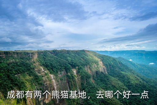 成都熊貓基地功夫熊貓在哪里,成都有兩個熊貓基地