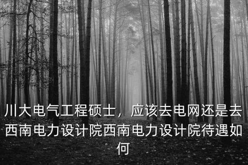 川大電氣工程碩士，應(yīng)該去電網(wǎng)還是去西南電力設(shè)計(jì)院西南電力設(shè)計(jì)院待遇如何