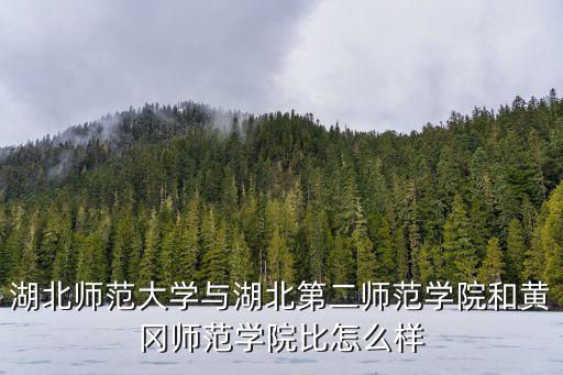 湖北二師新聞學院怎么樣,湖北經濟學院