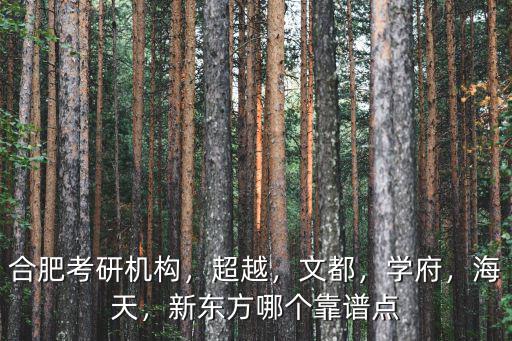 合肥有多少輔導機構,合肥考研機構
