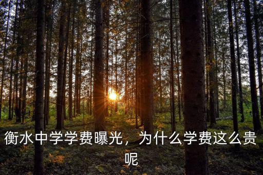 衡水二中學費住宿費多少錢,衡水中學學費曝光