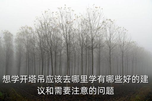想學開塔吊應該去哪里學有哪些好的建議和需要注意的問題