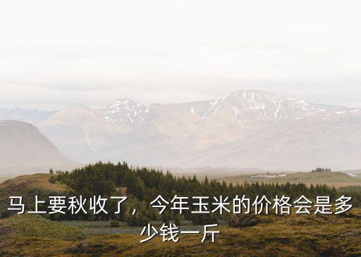 信陽(yáng)秋收玉米多少錢(qián),你們那的玉米種子一斤多少錢(qián)