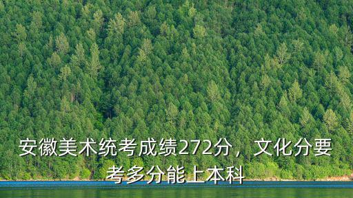 安徽美術統考成績272分，文化分要考多分能上本科