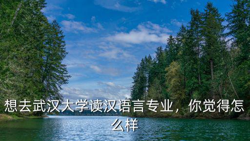 想去武漢大學讀漢語言專業，你覺得怎么樣