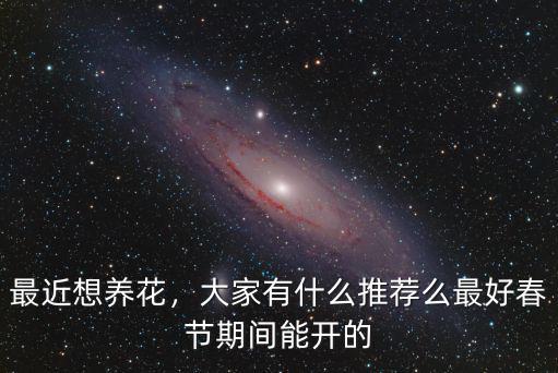 南充春節(jié)期間哪里有郁金香花開(kāi),最好春節(jié)期間能開(kāi)的
