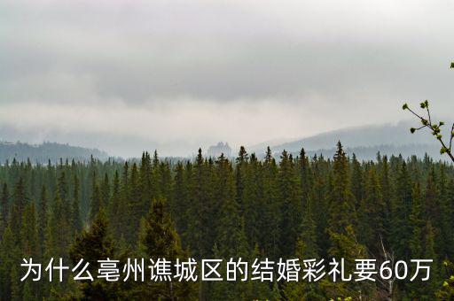 為什么亳州譙城區的結婚彩禮要60萬