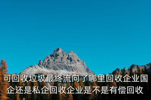 商丘的垃圾回收哪里了,可回收垃圾最終流向了哪里