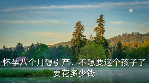 懷孕八個月想引產，不想要這個孩子了要花多少錢