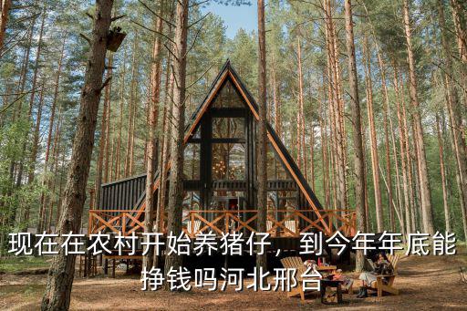 河北現在散養肥豬多少錢一斤,現在育肥豬成本價是多少錢