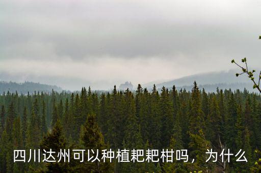 四川達州可以種植耙耙柑嗎，為什么