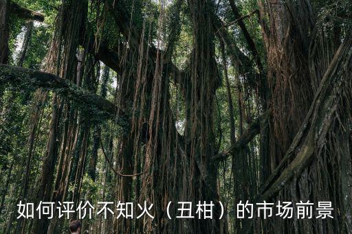 四川不知火丑柑哪里好,如何評價不知火