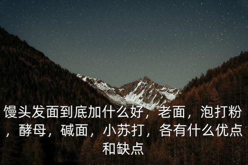 饅頭發(fā)面到底加什么好，老面，泡打粉，酵母，堿面，小蘇打，各有什么優(yōu)點(diǎn)和缺點(diǎn)