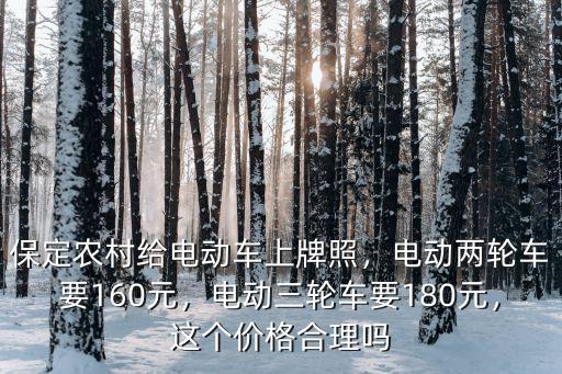保定農村給電動車上牌照，電動兩輪車要160元，電動三輪車要180元，這個價格合理嗎