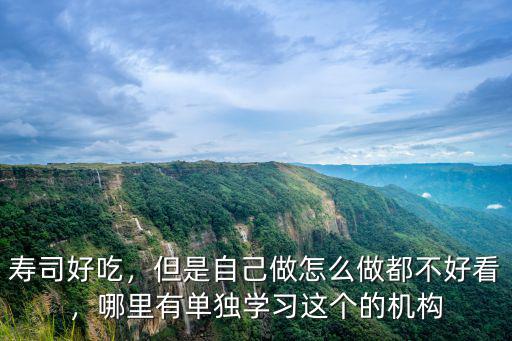 壽司好吃，但是自己做怎么做都不好看，哪里有單獨學習這個的機構(gòu)