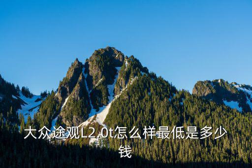 大眾途觀l最低多少錢安徽,最低是多少錢