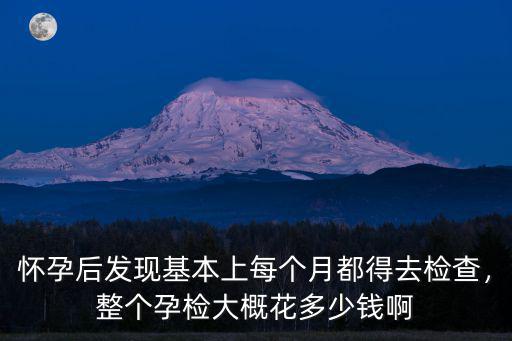 懷孕后發現基本上每個月都得去檢查，整個孕檢大概花多少錢啊