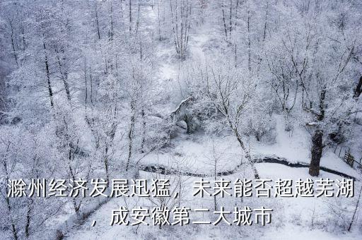 平頂山蕪湖相比經濟怎么樣,蕪湖的經濟發展怎么樣