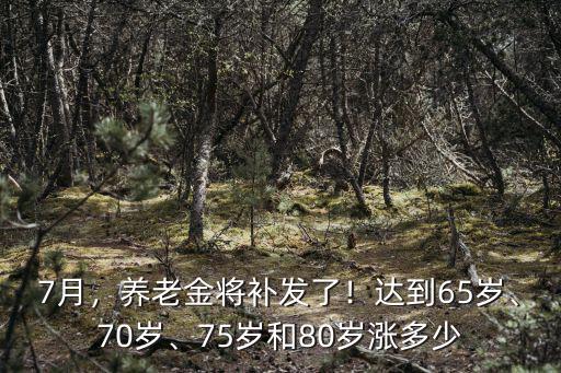 蕪湖市80歲以上養(yǎng)老金多少,養(yǎng)老金將補(bǔ)發(fā)了