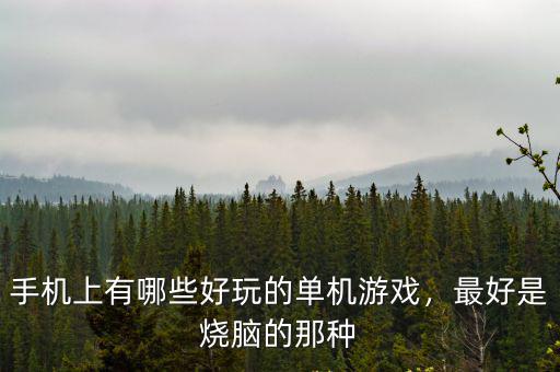 成都哪里好玩的單機游戲手機,有什么好玩的手機單機游戲