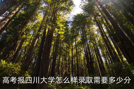 河北多少分上四川大學,高考報四川大學怎么樣