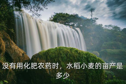 沒有用化肥農藥時，水稻小麥的畝產是多少