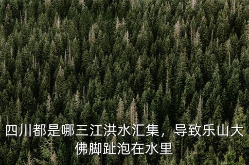樂(lè)山三江在哪里,四川都是哪三江洪水匯集