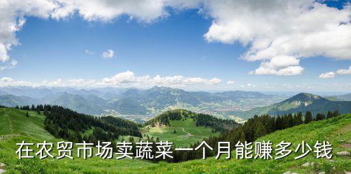 合肥美菜網一個月能掙多少錢,蔬菜攤一個月能賺多少錢