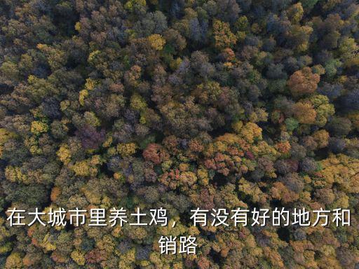 在大城市里養土雞，有沒有好的地方和銷路