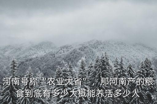 河北省一年能產(chǎn)多少糧食,那河南產(chǎn)的糧食到底有多少