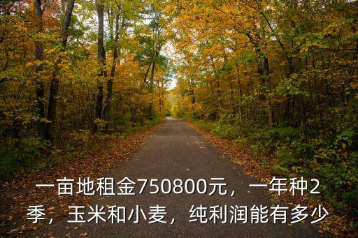 一畝地租金750800元，一年種2季，玉米和小麥，純利潤(rùn)能有多少