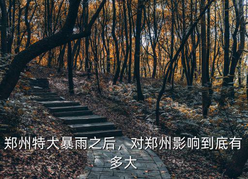 鄭州哪里特大暴雨,鄭州特大暴雨之后