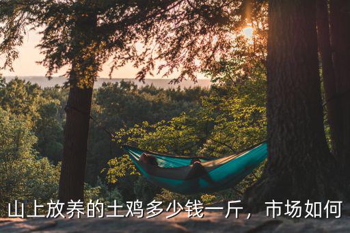 山上放養的土雞多少錢一斤，市場如何