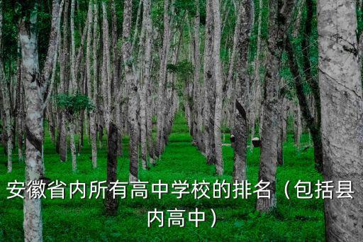 安徽一共有多少個(gè)高中學(xué)校排名,安徽省內(nèi)所有高中學(xué)校的排名
