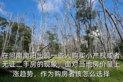 在河南南陽出現一些人購買小產權或者無證二手房的現象，面對當地房價呈上漲趨勢，作為購房者該怎么選擇