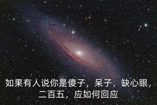 如果有人說你是傻子，呆子，缺心眼，二百五，應如何回應