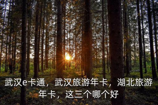 武漢旅游年卡小孩子怎么購買,武漢旅游年卡