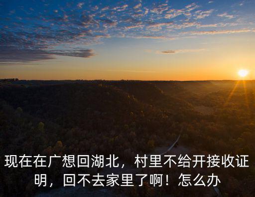 湖北返粵沒接收證明怎么走,湖北襄陽返粵能走嗎