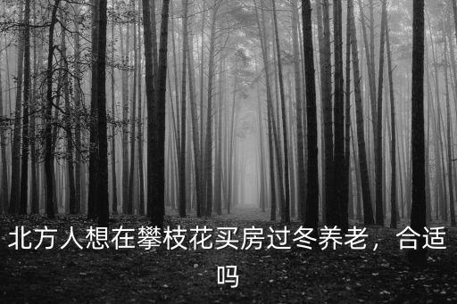 北方人想在攀枝花買房過冬養老，合適嗎