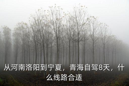 從河南洛陽到寧夏，青海自駕8天，什么線路合適