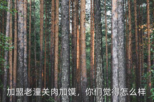 加盟老潼關肉加饃，你們覺得怎么樣