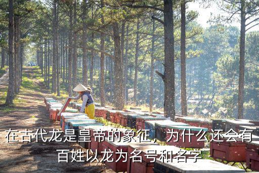 在古代龍是皇帝的象征，為什么還會有百姓以龍為名號和名字