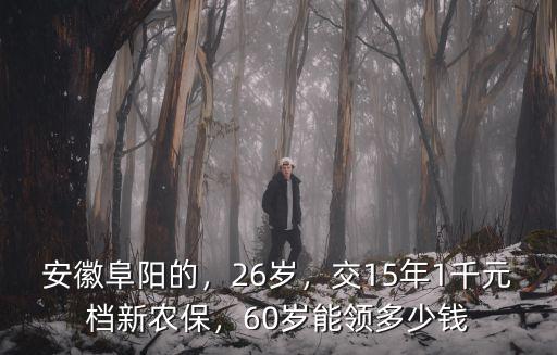 安徽新農(nóng)保交500元13年能拿多少,60歲能領(lǐng)多少錢