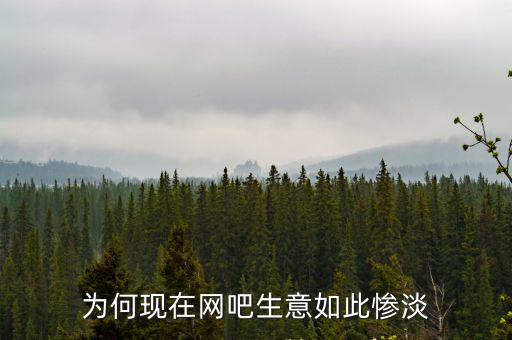 十堰網吧生意怎么樣,現在網吧生意怎樣