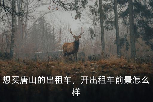 想買唐山的出租車，開出租車前景怎么樣