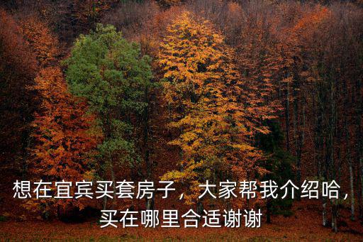 宜賓工業園在哪里集中位置,宜賓未來的城市中心在哪里