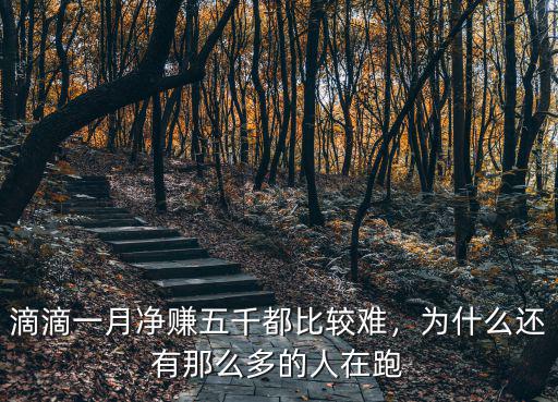 保定跑滴滴一天收入多少,在保定跑滴滴怎么樣