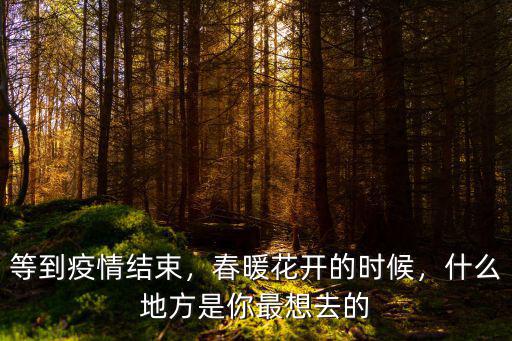 等到疫情結束，春暖花開的時候，什么地方是你最想去的